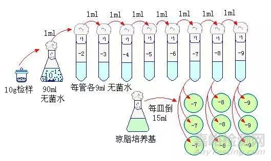 菌落总数的概念及检测方法