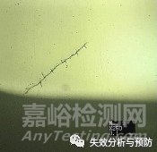 从失效案例中探讨发纹缺陷的常见表现及危害