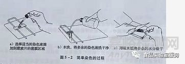 几种常用的微生物染色方法