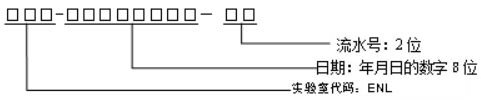 实验室内部文件编号规则