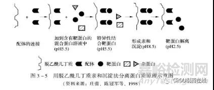 蛋白质纯化技术之沉淀法- 等电点沉淀和亲和沉淀法