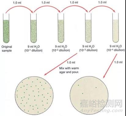 微生物的分离纯化详解