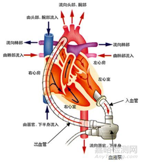 重庆永仁心的创新医疗器械“植入式左心室辅助系统”做了哪些研发实验