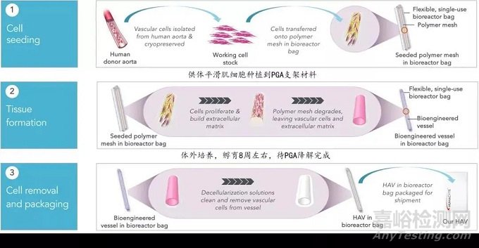 中美人工血管新产品与新技术