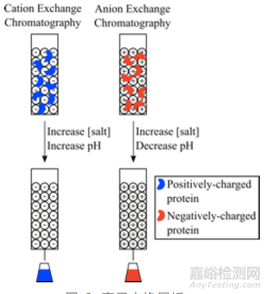 蛋白质纯化方法经典攻略