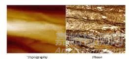一文读懂原子力显微镜（AFM）测试