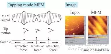 一文读懂原子力显微镜（AFM）测试