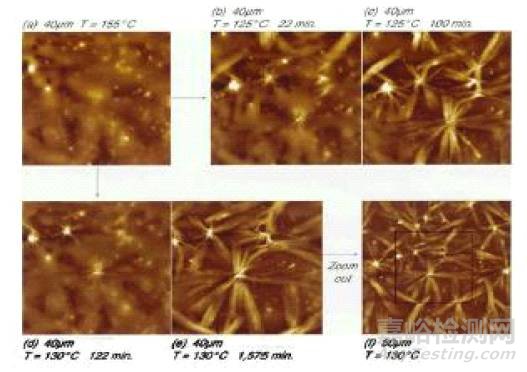 一文读懂原子力显微镜（AFM）测试