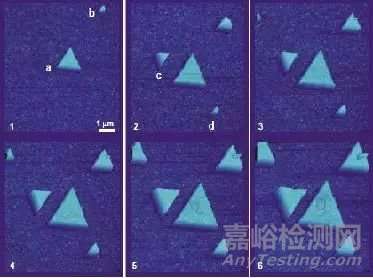 一文读懂原子力显微镜（AFM）测试