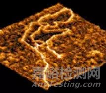 一文读懂原子力显微镜（AFM）测试