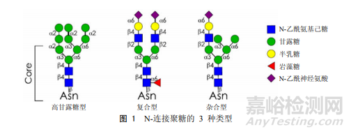 单克隆抗体糖基化修饰研究