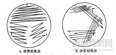 菌种活化的操作方法！