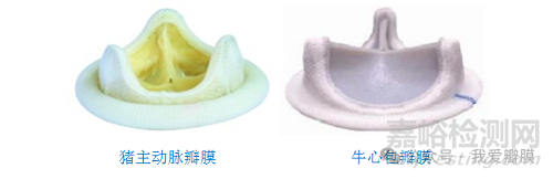 全球首个！Foldax Tria 聚合物二尖瓣获印度 CDSCO 批准，颠覆百年瓣膜治疗格局