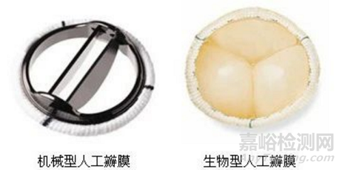 全球首款聚合物二尖瓣获批上市