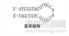 【干货】让PCR实验成功率飙升的8个秘诀