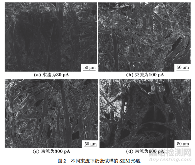 工作参数对纸张类不导电试样扫描电镜图像质量的影响研究实验