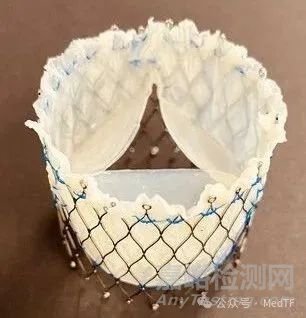 【创新医械】AdultValve：由患者自身组织制备的生物瓣膜
