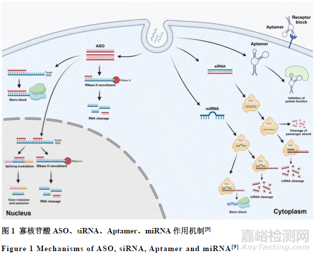 寡核苷酸药物的质控关键技术