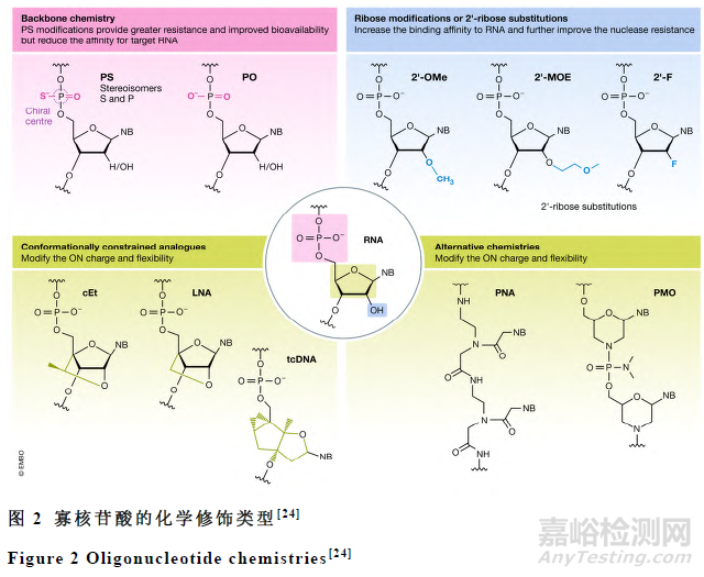 寡核苷酸药物的质控关键技术