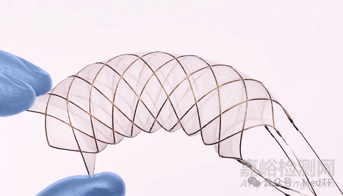 【创新医械】Filter + Flow (F2)：包含自膨胀式圆柱形镍钛合金支架和静电纺丝过滤膜的脑保护器