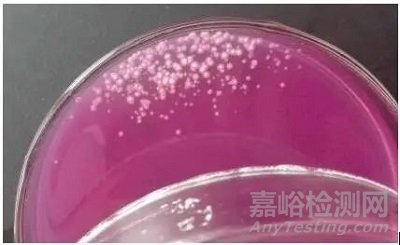 GB 4789.15 霉菌和酵母计数 霉菌培养容易污染，实验室该如何解决？