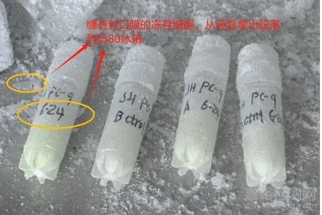 细胞冻存管需要缠封口膜吗？