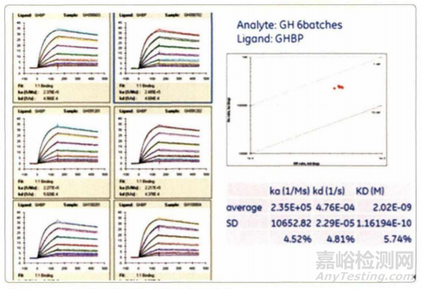 生物药工艺表征分析方法建立