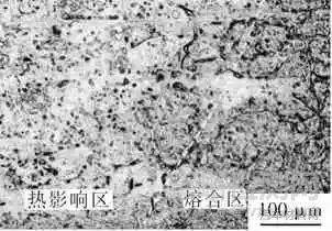 AZ31B镁合金CMT Cycle Step焊接接头组织和性能研究