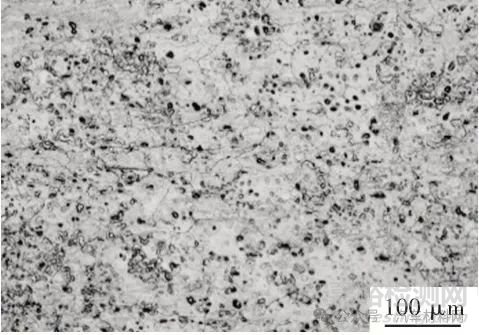 AZ31B镁合金CMT Cycle Step焊接接头组织和性能研究