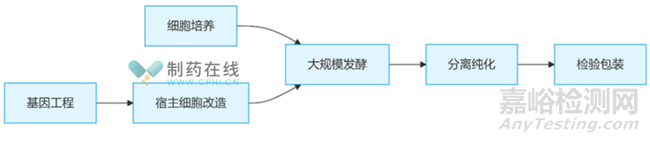 GMP体系下确保生物制药制剂无菌生产的具体措施