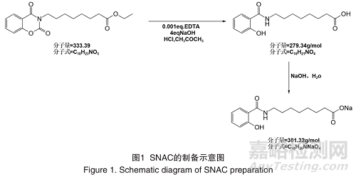 SNAC用于提高大分子药物口服生物利用度的研究进展
